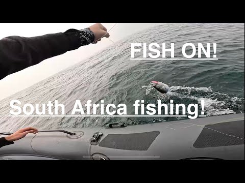 Deep sea fishing in South Africa 🇿🇦 - Raw sound
