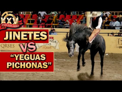 2022 THV Millionaire Championship - Mare Riding on September 1st