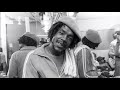 Peter Tosh - whatcha gonna do