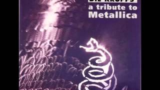 Die Krupps   Nothing Else Matters mp3