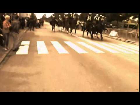 Mounted Police Ride of the Rohirrim