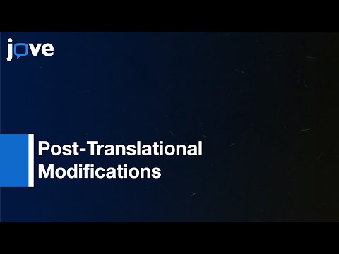 Budding Yeast Protein Extraction & Purification: Studying Function, Interactions l Protocol Preview