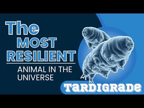 Meet the Tardigrade, the toughest animal on Earth | Details about Water Bears | Tardigrade का रहस्य