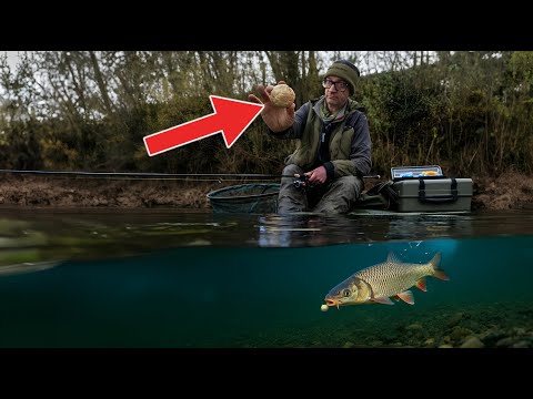 Winter Chub Fishing With Cheese paste | Nick Marsh |