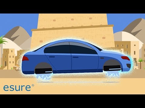 A Modern Take on Age-Old Insurance | esure