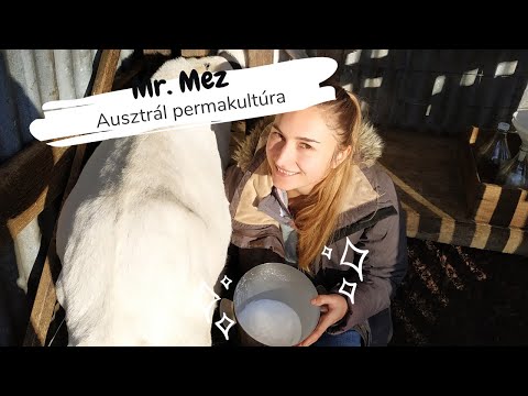 Önkénteskedni Ausztráliában, Permakultúra, Fenntarthatóság