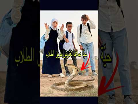 طلاب تأخروا عن المدرسة وسبب حية كبيرة @a@abo_Janaa