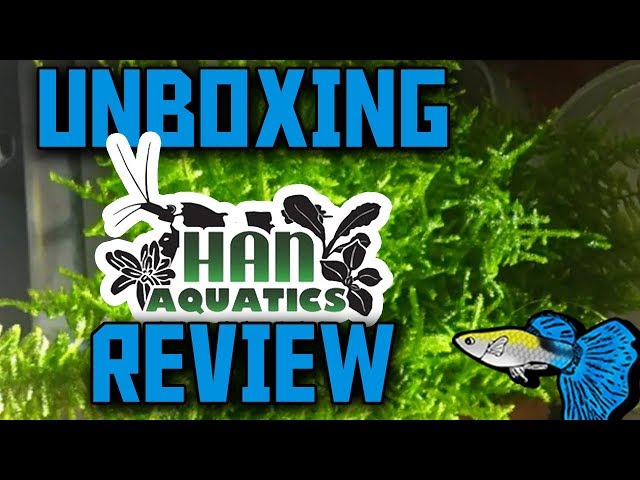 Han Aquatics Unboxing || Moss & Supplies + Discount Code!