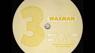You&#39;re The Voice - Waxman
