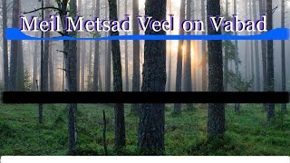 Meil Metsad Veel on Vabad - Estonian Partisan Song - Untsakad