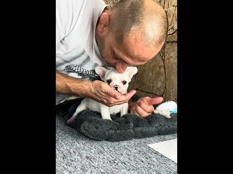 Video 1
