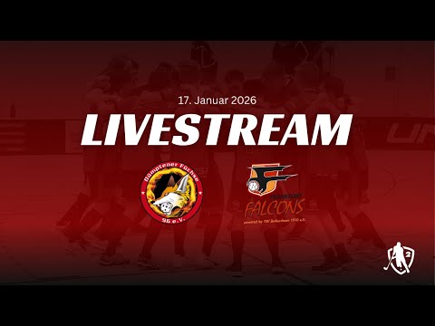 2.FBL Herren Dümptener Füchse vs Frankfurt Falcons 17.01.2026
