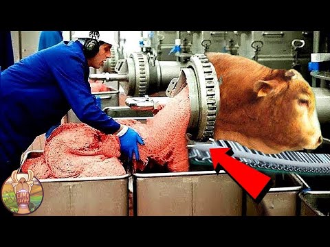 Regardez Comment Ces Aliments Sont Faits (Choquant) !