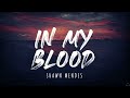 Shawn Mendes In My Blood Lyrics 1 Hour