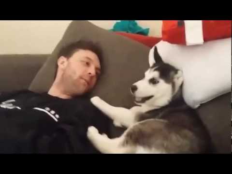 Husky puppy argues w/ DJ Aaron Dissell & Puts foot in mouth