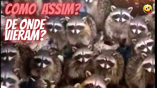 Os Vdeos Mais Engraados. Tente No Rir #18