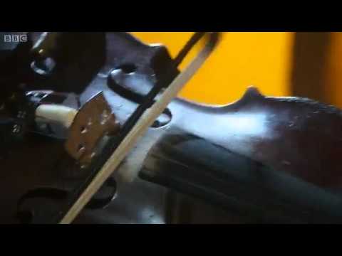 Stephen and Cathal Hayden - Wallop the Spot