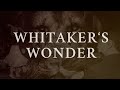 Whitaker's Wonder - Michael W. Smith | Heaven Orchestra