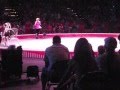 Circus Dogs 2013