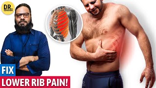 Download lagu Seene Ya Pasliyon Ke 'Mutalif' Dard Ka Ilaj! | Rib Pain Causes, Treatment | Dr. Ibrahim mp3