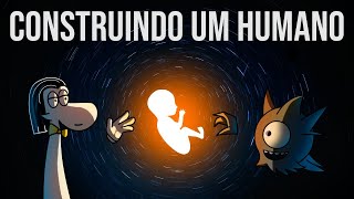 A ORIGEM dos Seres Humanos | Metafísicos 2