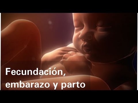 Fecundación, embarazo y parto - Ciencias Naturales