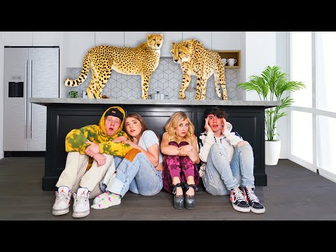 Last To Leave CHEETAHS Wins $20,000 - Challenge 🐆🚫| Piper Rockelle