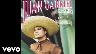 Juan Gabriel - El Hijo de Mi Compadre (Cover Audio)