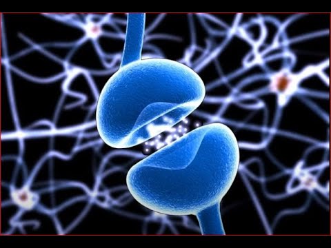 Gesund mit Borax oder doch lieber Altern auf Rezept