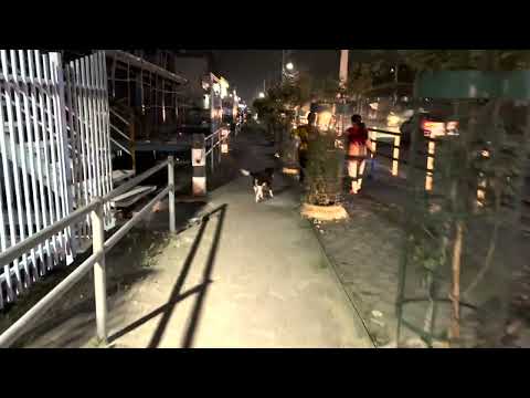 Dogs feedings, Jadibuti chowk