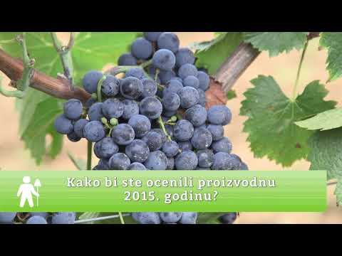 Domaćine kao radiš ep.92 15.09.2017.