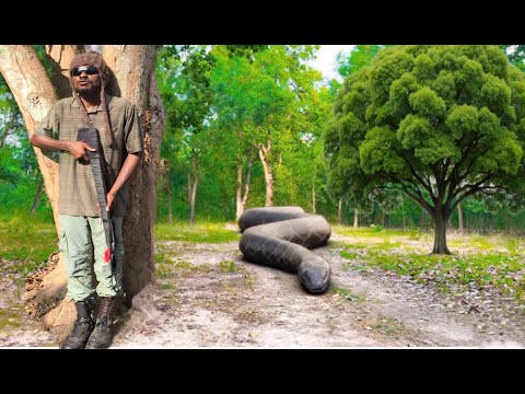 Anaconda Snake Attack Village Police In Forest