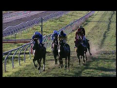 Galoppo 14/12/2020 - 5ª corsa