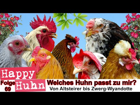 , title : 'E69 Welches Huhn passt zu mir? Rassewahl - HAPPY HUHN - 50 Hühnerrassen im Vergleich, Hühner Auswahl'