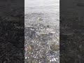 Sea In Soya Misaki