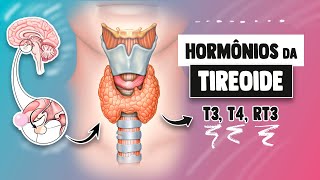Hormônios metabólicos da Tireoide (T3, T4, RT3) │ Fisiologia Resumida