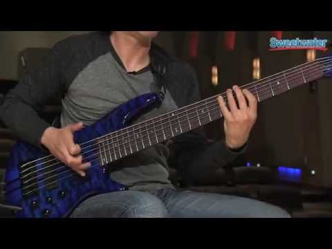 Adam Nitti for D'Addario Bass Strings - Sweetwater Sound