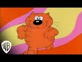 The Heathcliff And Dingbat ShowOpening Theme Warner Bros Entertainment