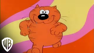 The Heathcliff and Dingbat Show