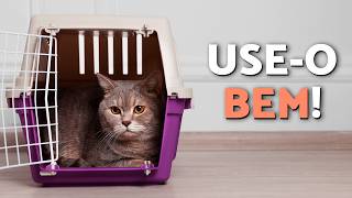 Como Colocar o Seu GATO numa CAIXA DE TRANSPORTE? 📦🐈 Viajar com o Seu Gato