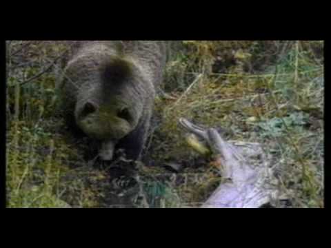 Secretary of the Interior Dirk Kempthorne on Dialogue