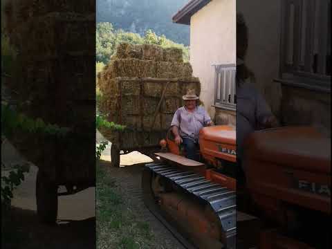 Fiat 555C in Salita con Rimorchio Pesante! Forza Cingolata al Top | Alessandro Rossi