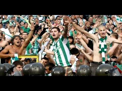 STZ otbora-Surceto mi zeleno