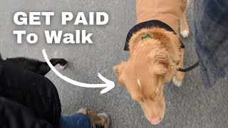 How to Start a Dog Walking Business | Tips and Secret Tactics