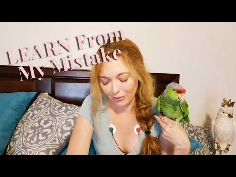 YouTube video about: Can a bird have a heart attack?