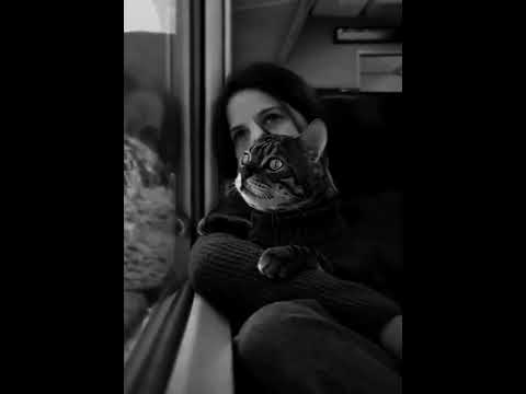 ☹️☹️☹️☹️☹️