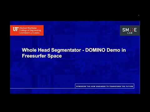 Whole Head Segmentator - DOMINO Demo