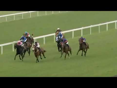 WAR OF ATHENA - Turffontein 18 Dec 2021