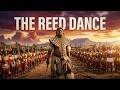 AFRICA S ROYAL TRADITION The Reed Dance Full Ceremony