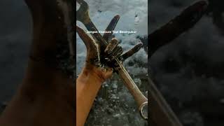 Download lagu utamakan fungsi bukan gengsi mp3
